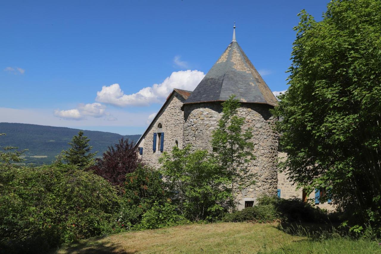 Chateau De Sothonod Exterior foto