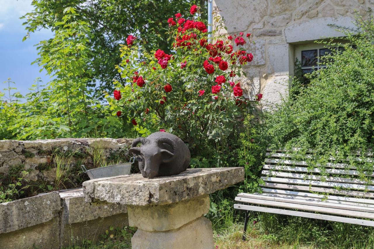 Chateau De Sothonod Exterior foto
