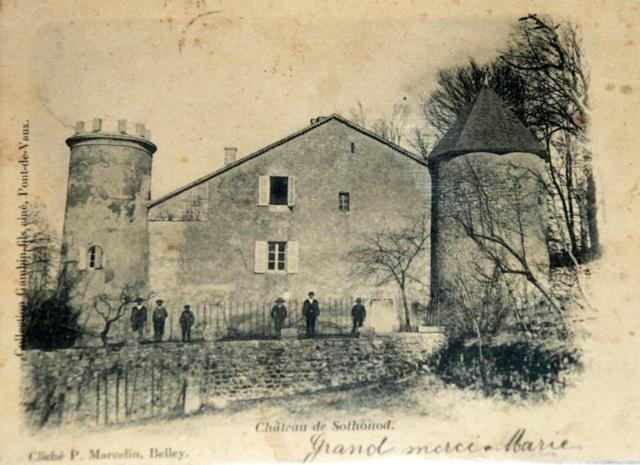 Chateau De Sothonod Exterior foto